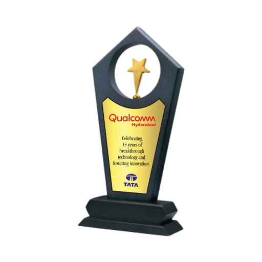 Wood & Metal Trophy WM 9933